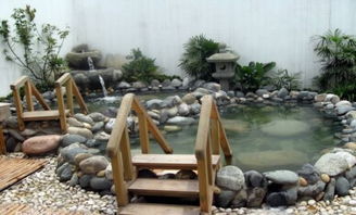 四時(shí)養(yǎng)生新體驗(yàn) 溫泉機(jī)的健康妙用